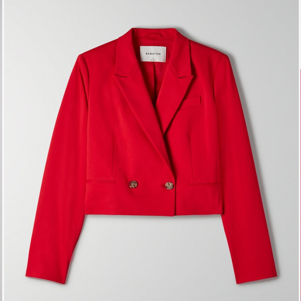 Aritzia Babaton ELLA blazer (SOLD OUT online)